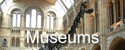 museum - places to go in Suffolk